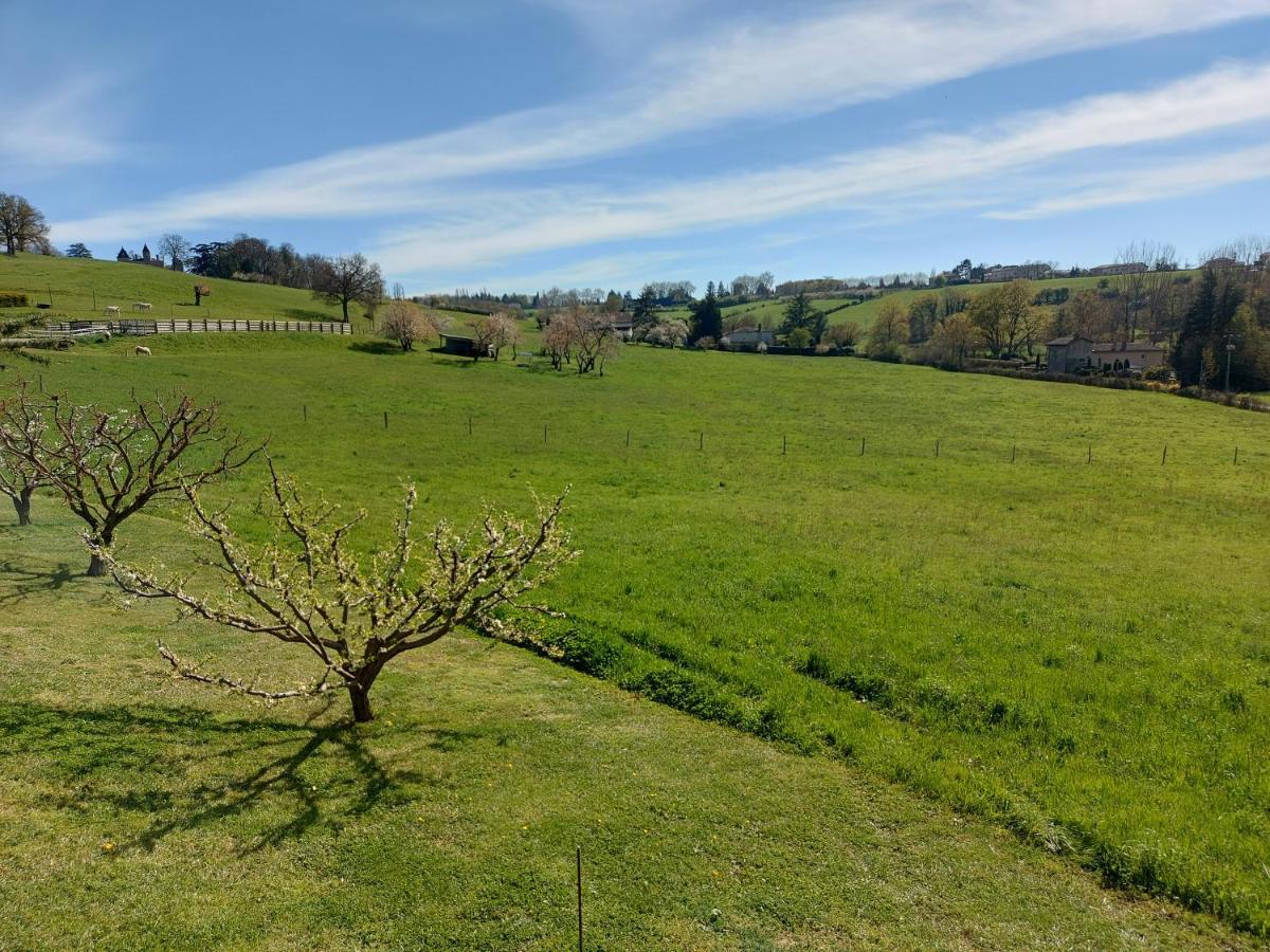 Gite Stone & Spa Chasselay Экстерьер фото