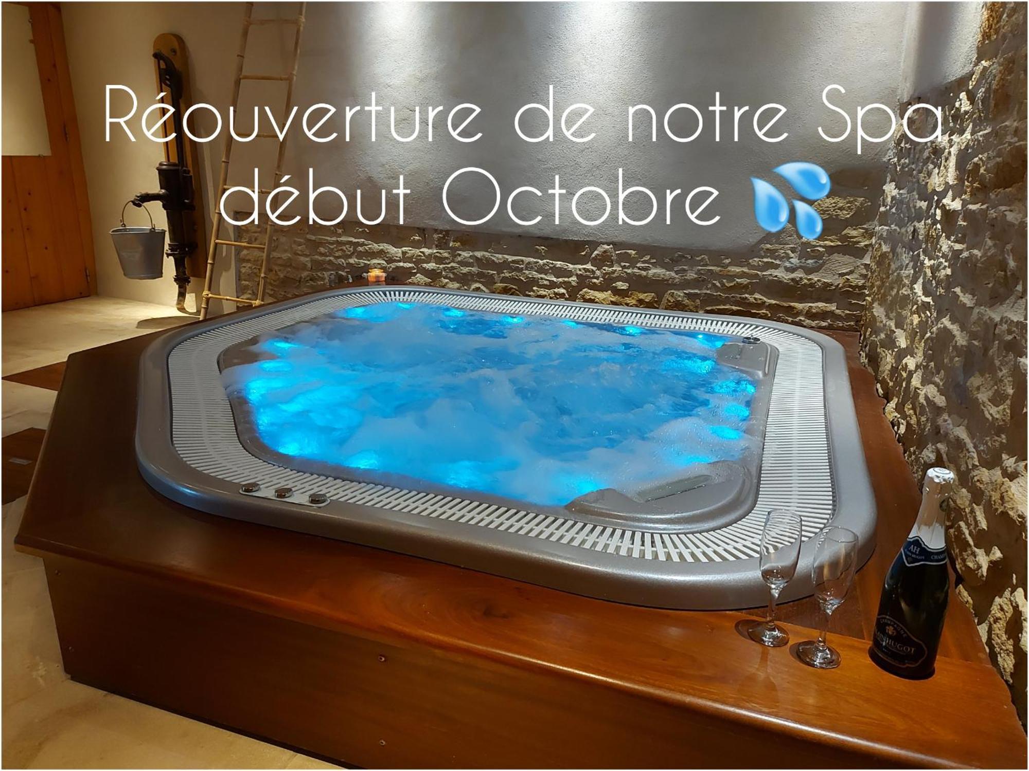 Gite Stone & Spa Chasselay Экстерьер фото